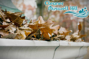 gutter-cleaners-muswell-hill